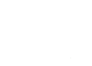 MGV Logo
